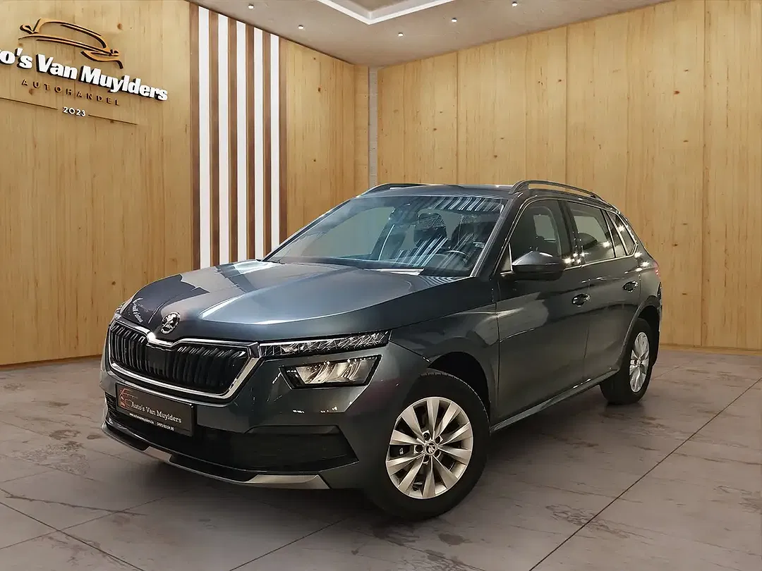 Skoda Kamiq - Thumbnail 3