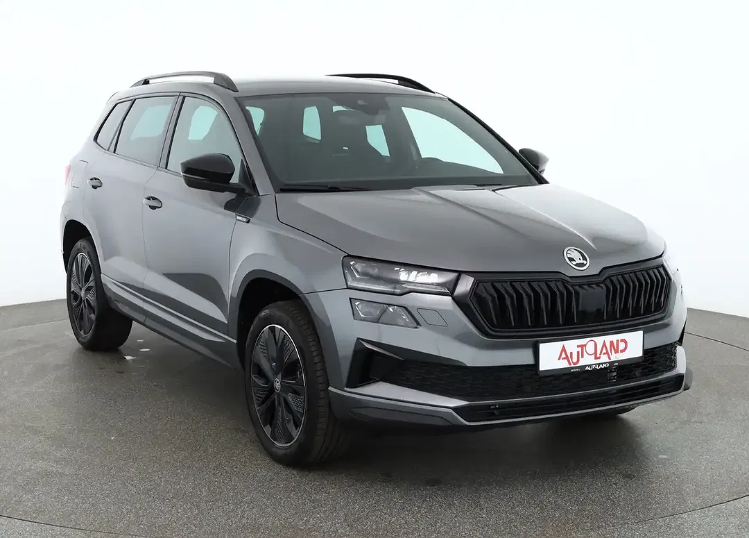 Skoda Karoq - Thumbnail 6