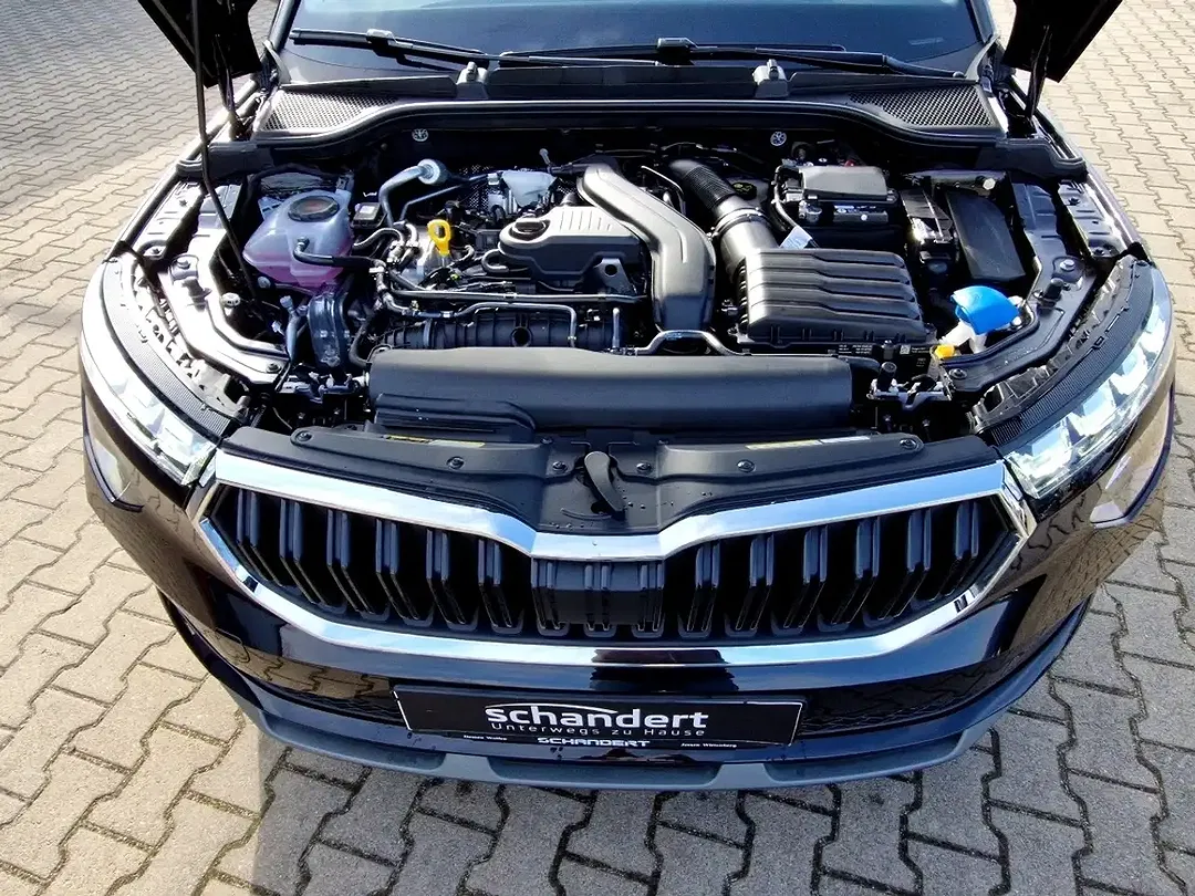 Skoda Kamiq - Thumbnail 15