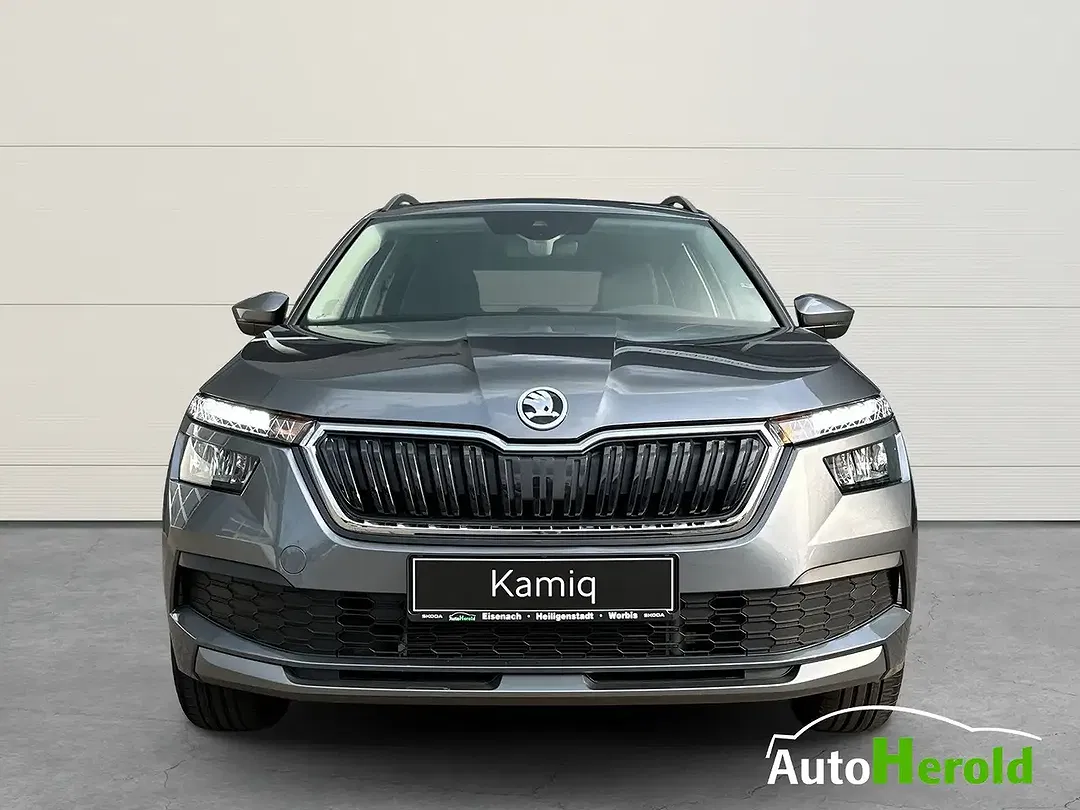 Skoda Kamiq - Thumbnail 3