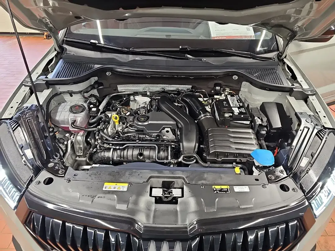 Skoda Karoq - Thumbnail 13