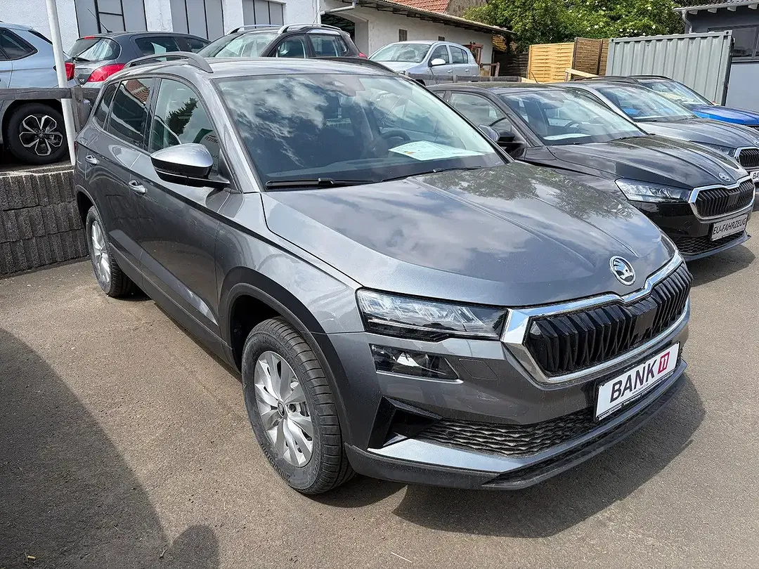 Skoda Karoq - Thumbnail 3