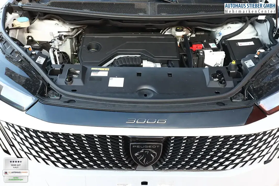 Peugeot 3008 - Thumbnail 12