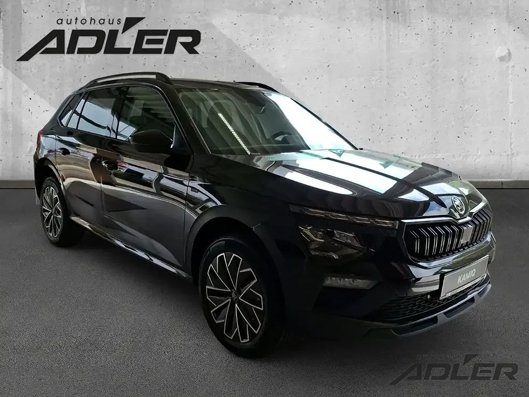 Skoda Kamiq - Thumbnail 3