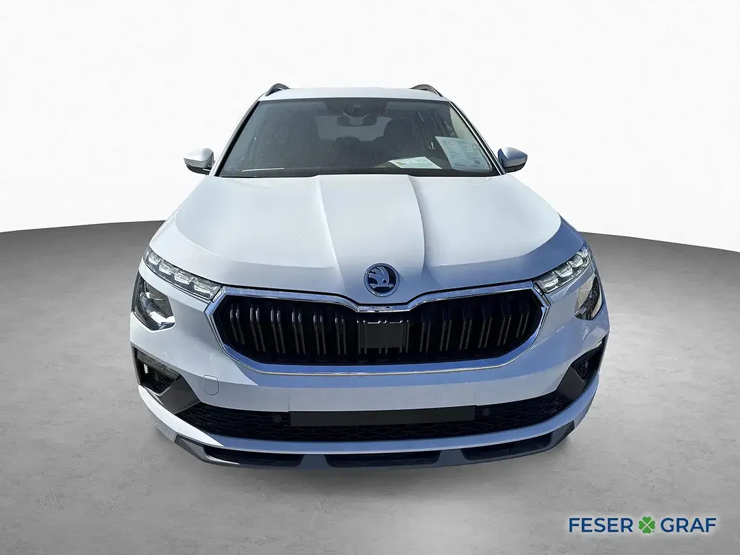 Skoda Kamiq - Thumbnail 2