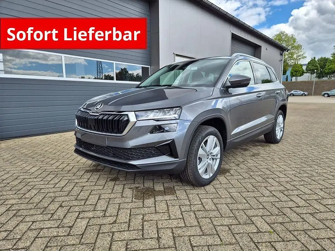 Skoda Karoq - Afbeelding 1