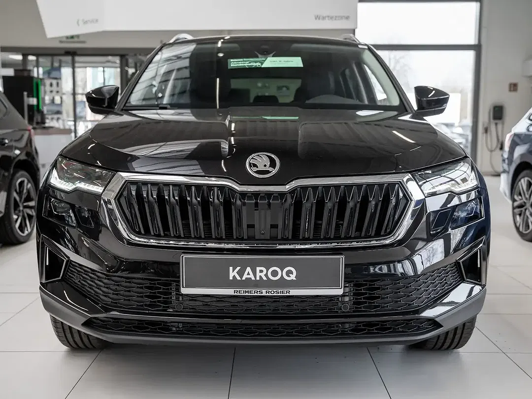 Skoda Karoq - Thumbnail 2