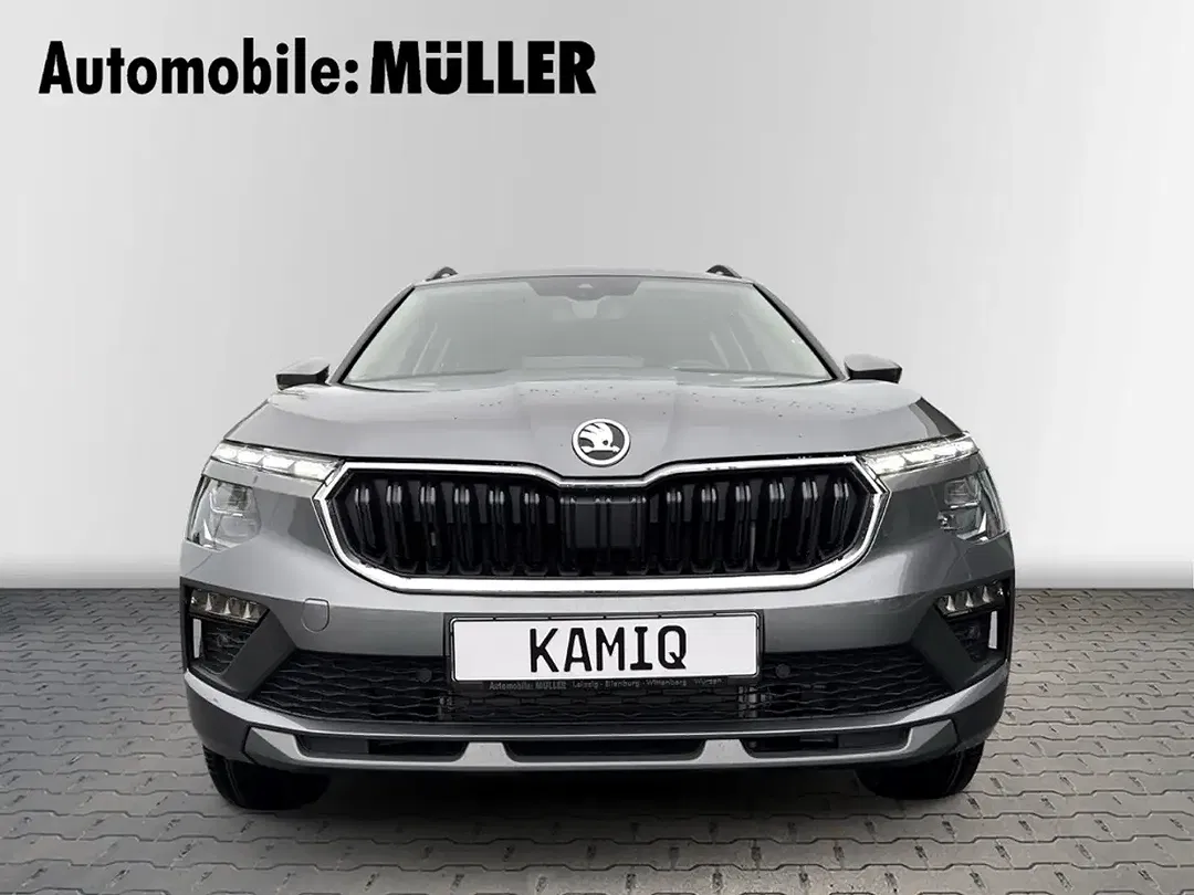 Skoda Kamiq - Thumbnail 3