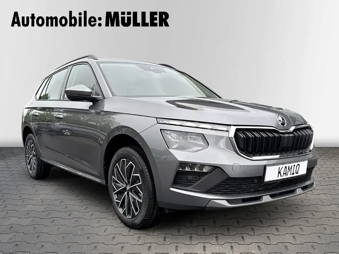 Skoda Kamiq - Thumbnail 9