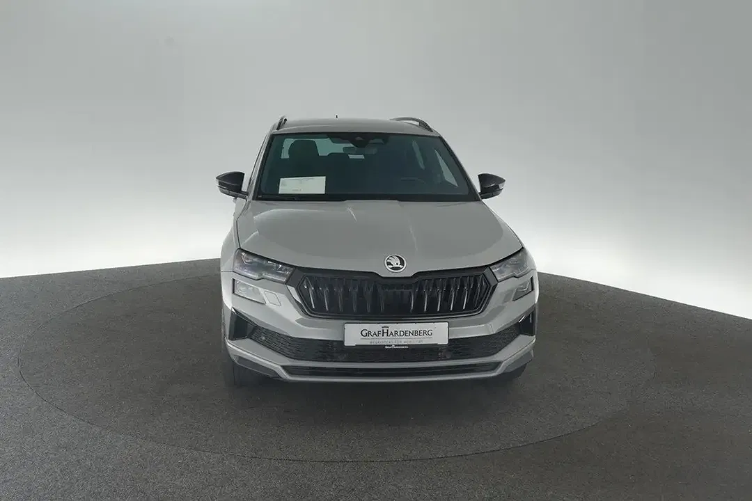 Skoda Karoq - Thumbnail 3