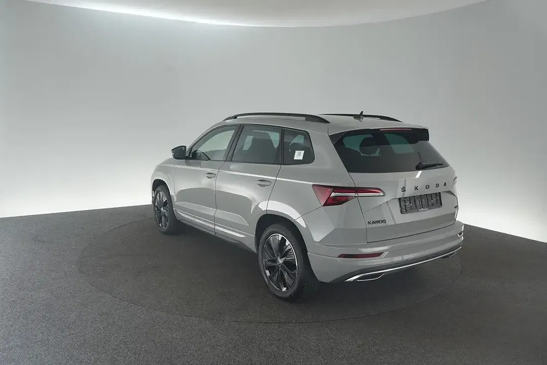 Skoda Karoq - Thumbnail 8