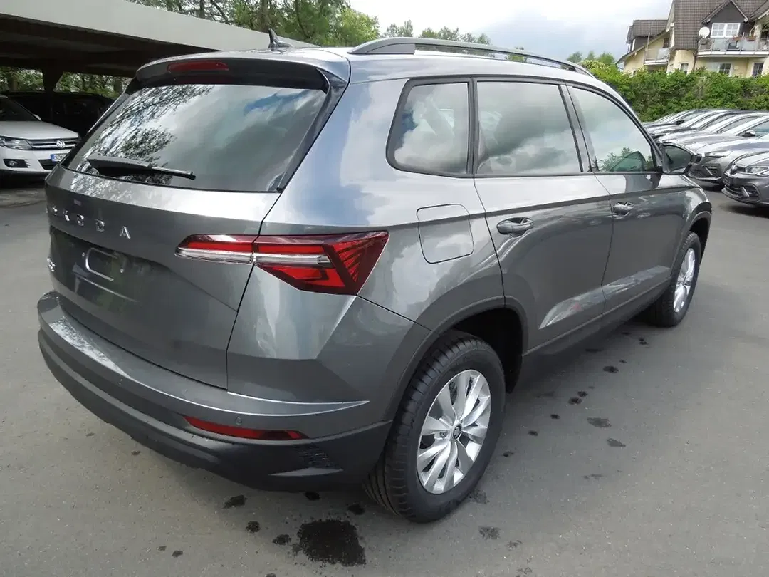 Skoda Karoq - Thumbnail 4