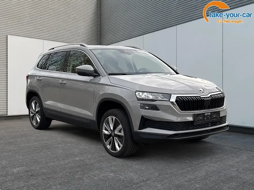 Skoda Karoq - Thumbnail 7