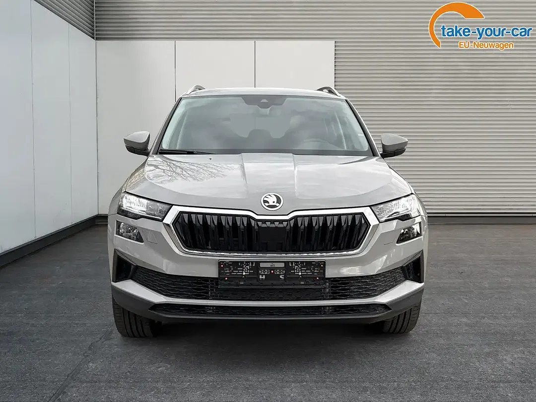 Skoda Karoq - Thumbnail 8