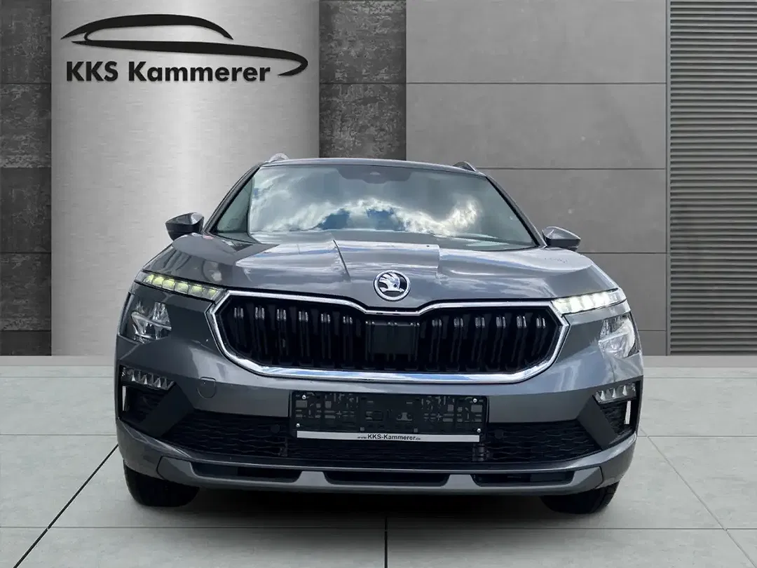 Skoda Kamiq - Thumbnail 3