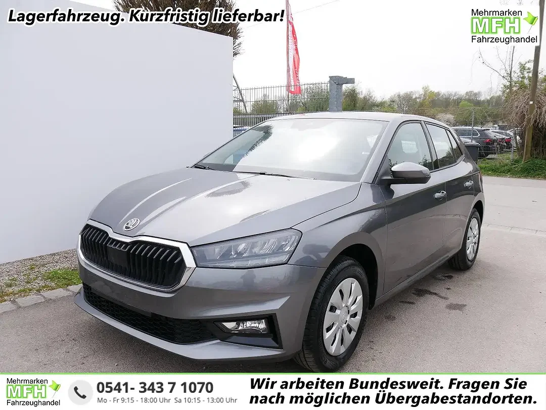 Skoda Fabia - Afbeelding 1