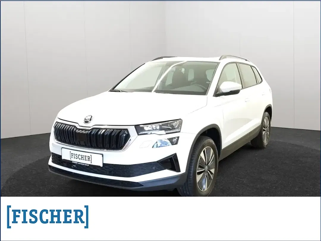 Skoda Karoq - Thumbnail 1