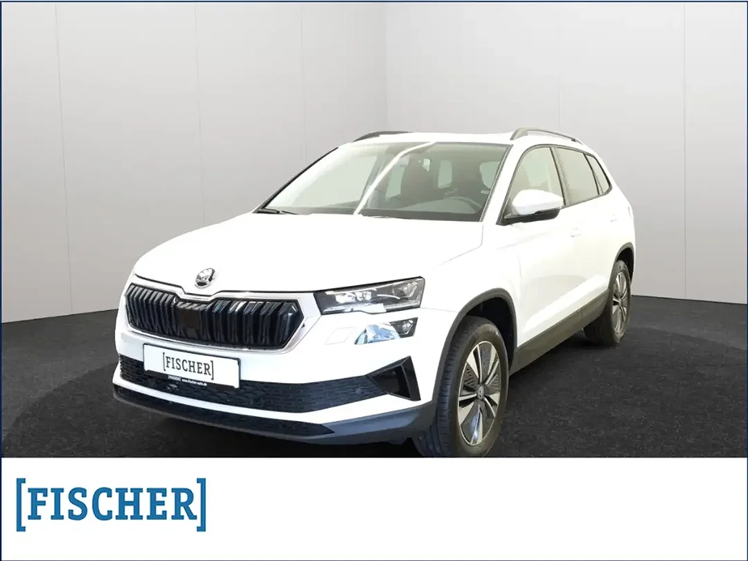 Skoda Karoq - Afbeelding 1