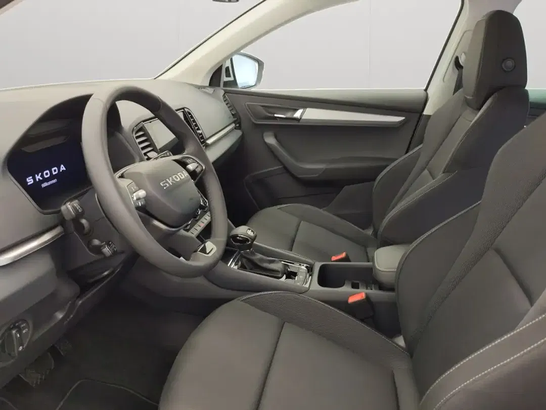 Skoda Karoq - Thumbnail 13
