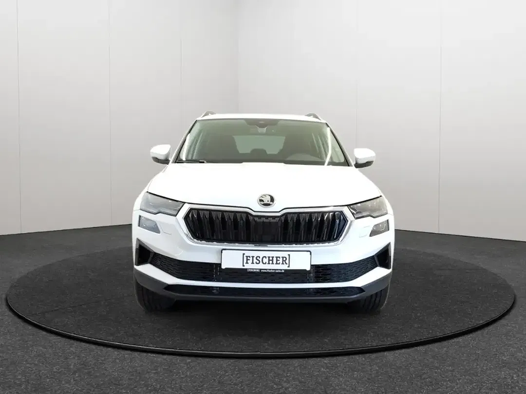 Skoda Karoq - Thumbnail 2