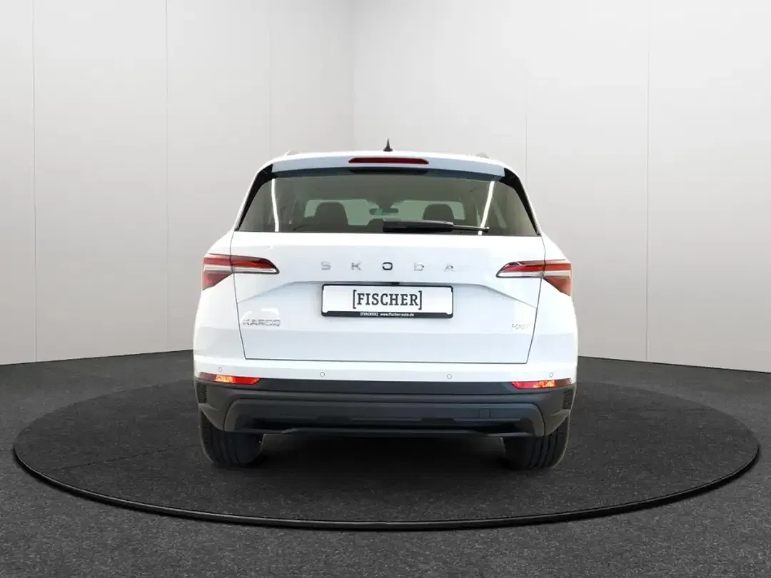 Skoda Karoq - Thumbnail 6