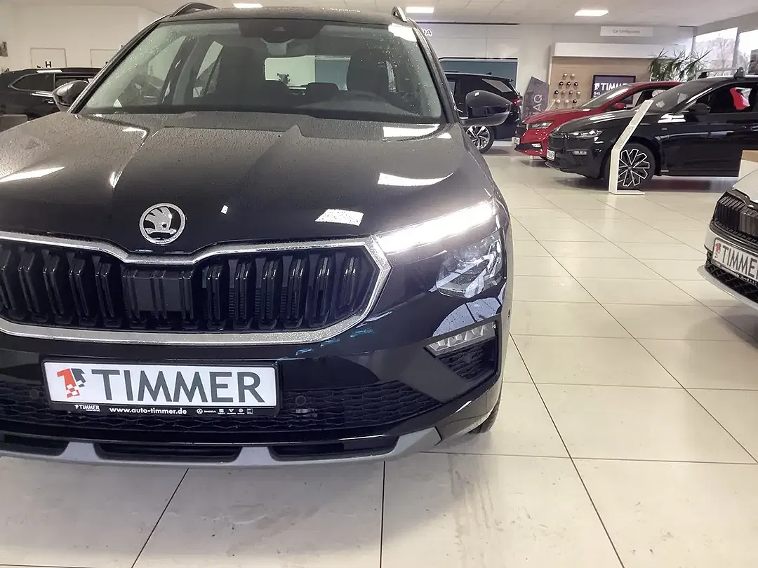 Skoda Kamiq - Thumbnail 4