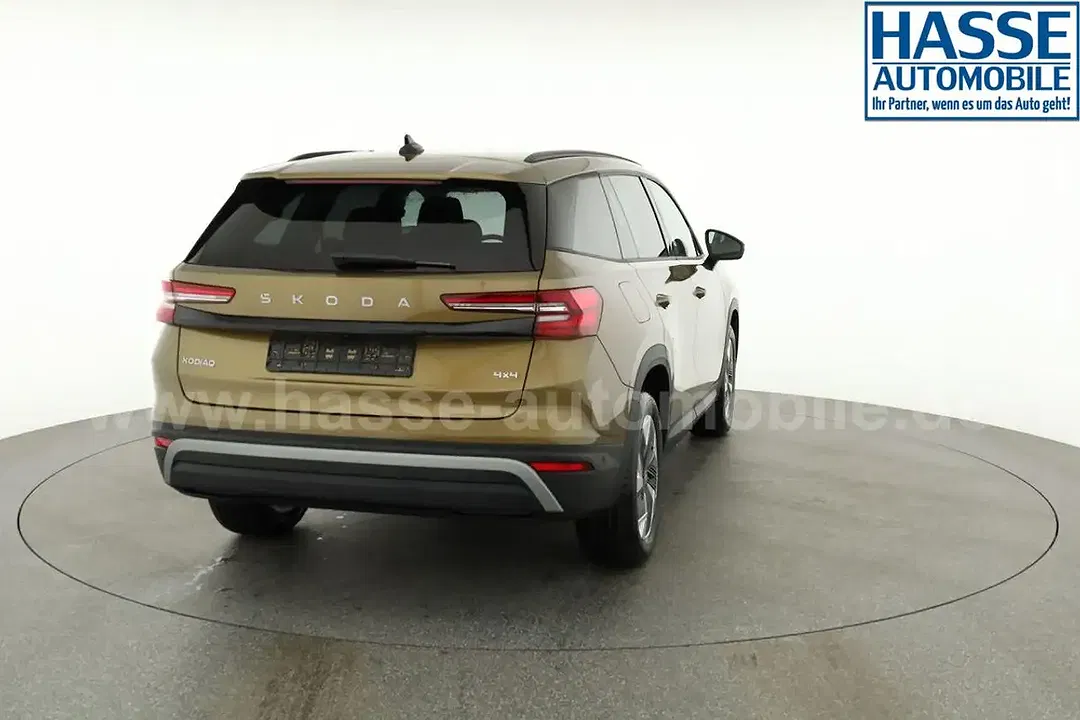 Skoda Kodiaq - Thumbnail 17