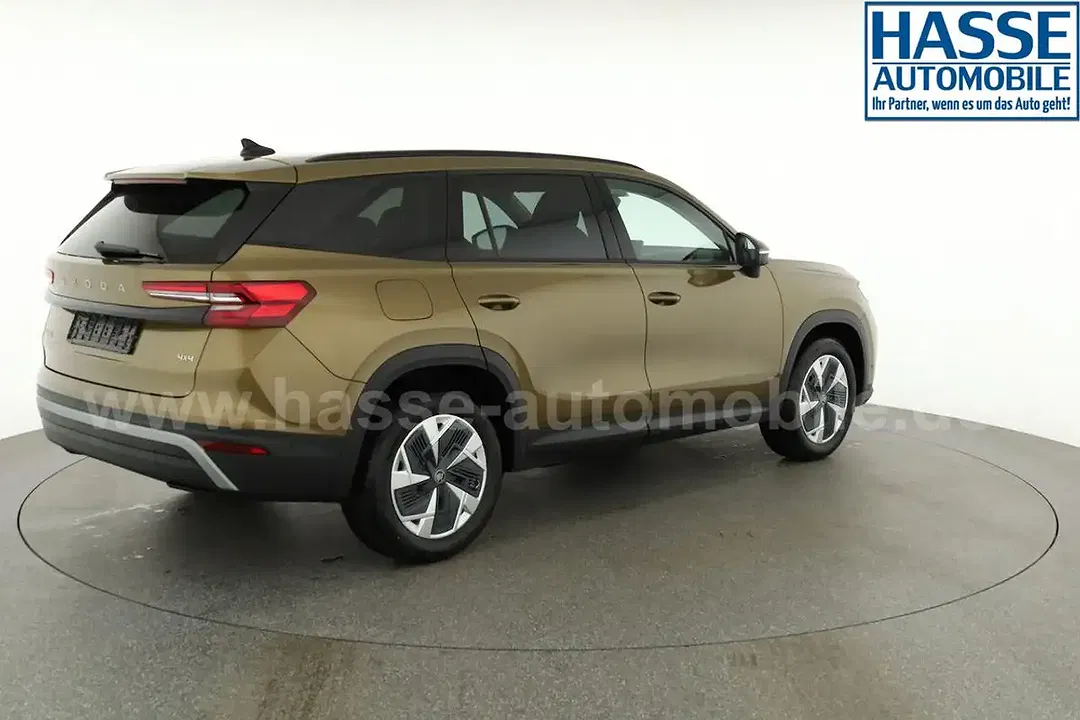 Skoda Kodiaq - Thumbnail 19