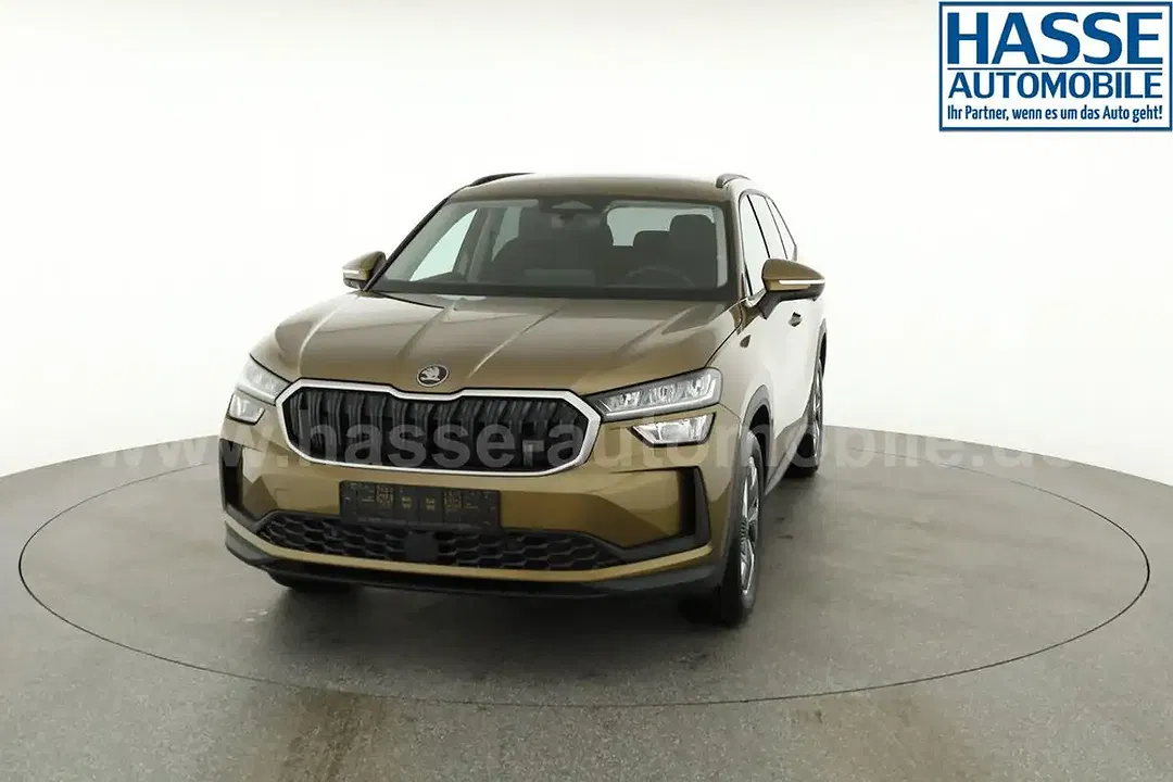 Skoda Kodiaq - Thumbnail 29