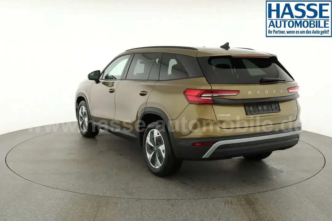 Skoda Kodiaq - Thumbnail 38
