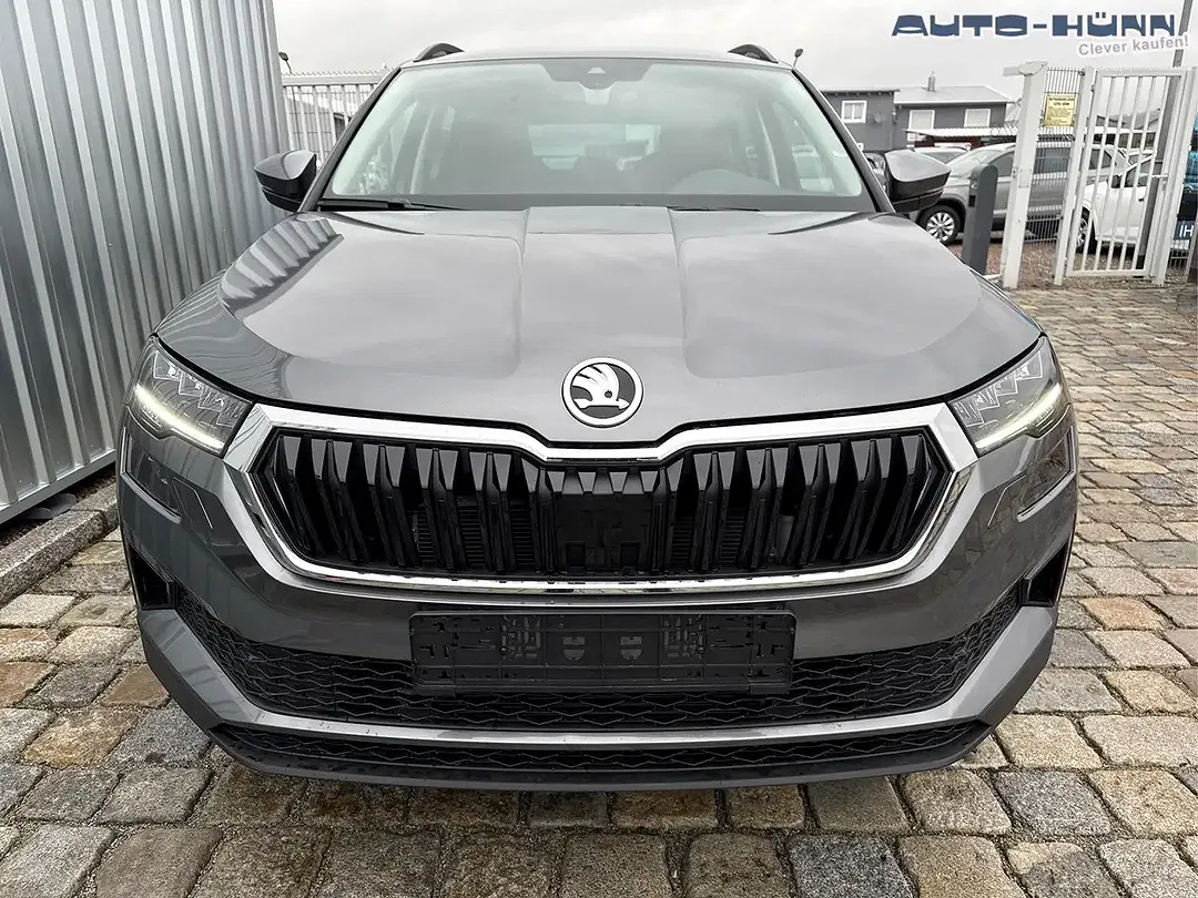Skoda Karoq - Thumbnail 13