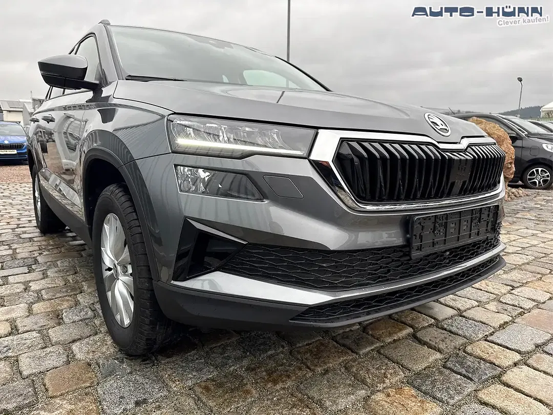 Skoda Karoq - Thumbnail 3