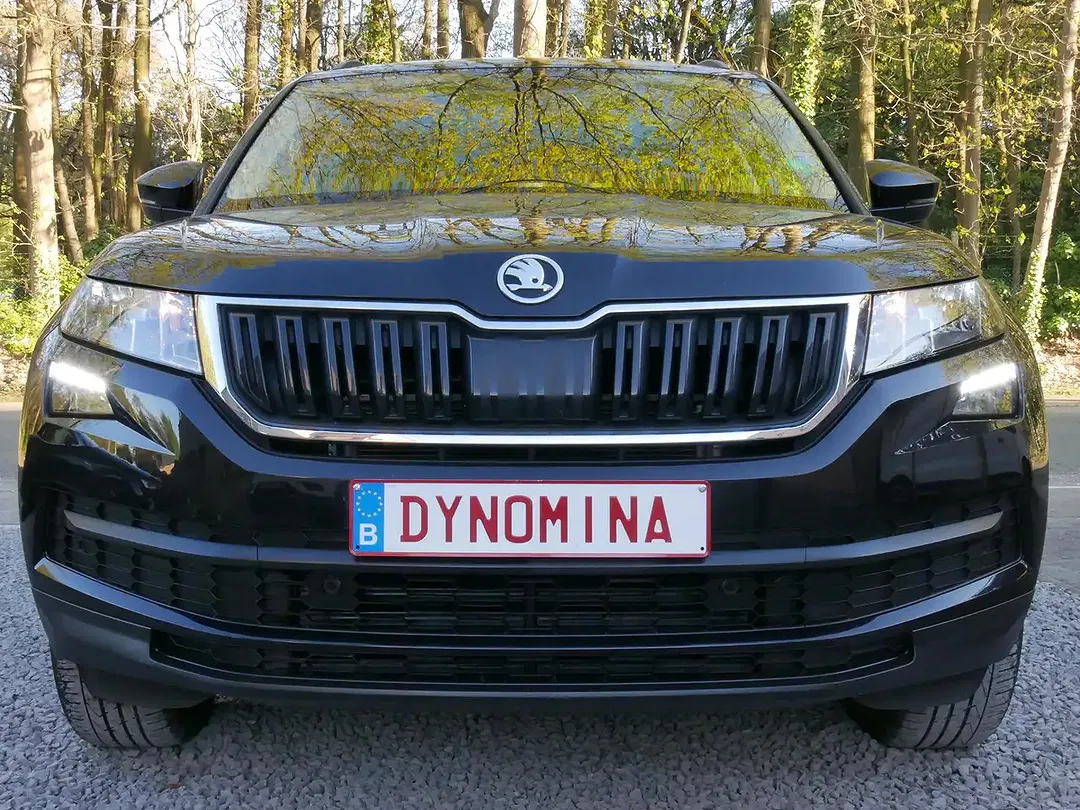 Skoda Kodiaq - Thumbnail 2
