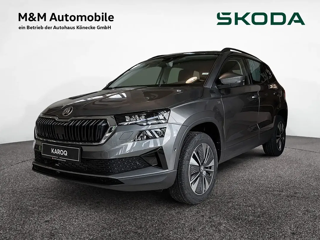 Skoda Karoq - Thumbnail 1