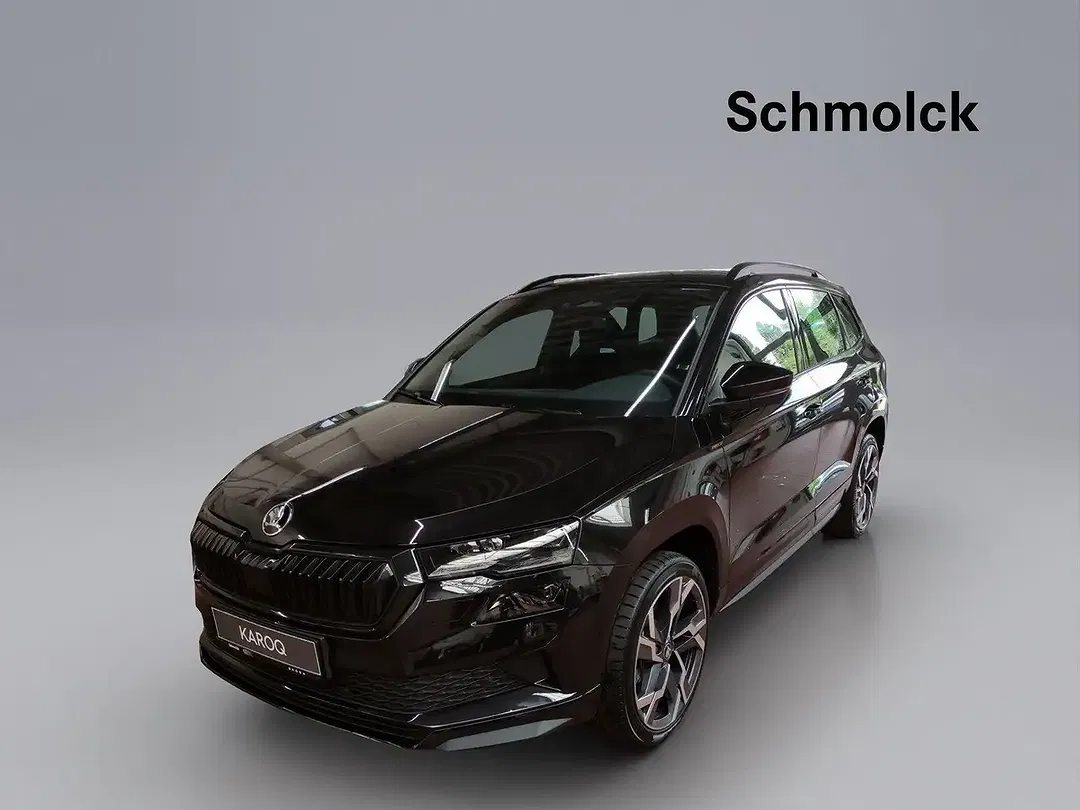 Skoda Karoq - Thumbnail 1
