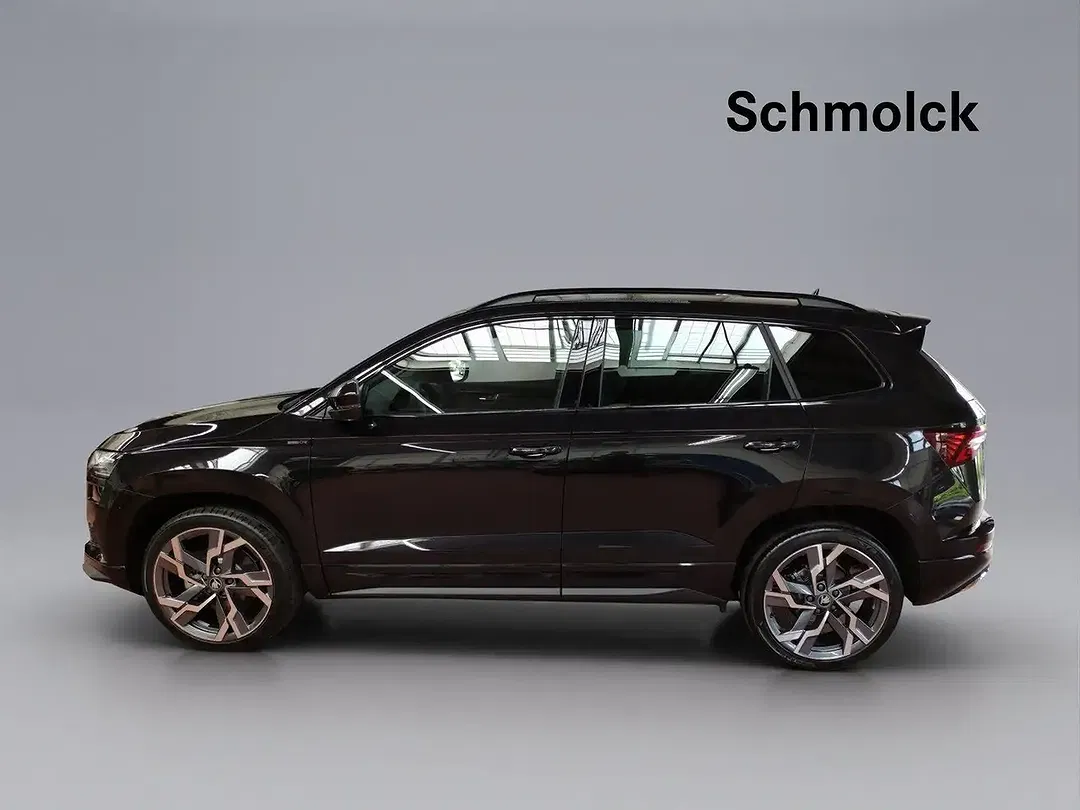 Skoda Karoq - Thumbnail 2