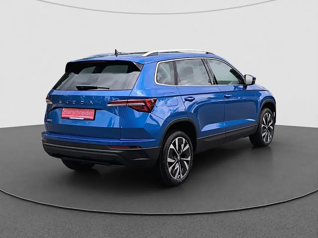Skoda Karoq - Thumbnail 10