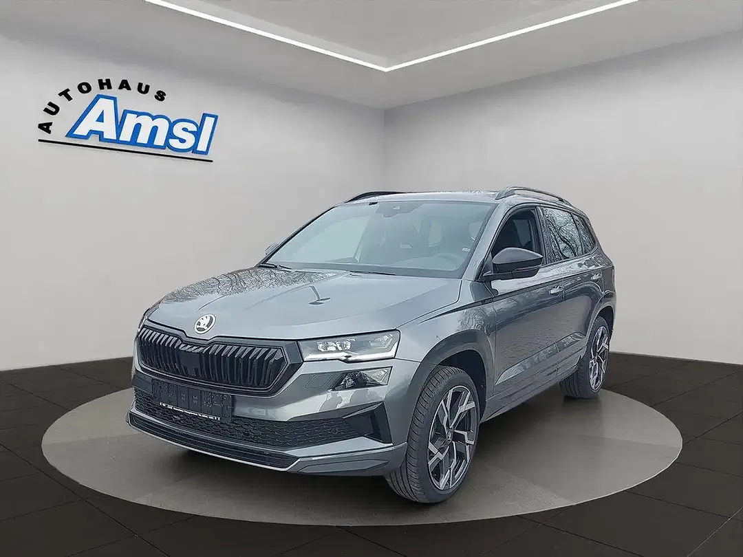 Skoda Karoq - Thumbnail 2