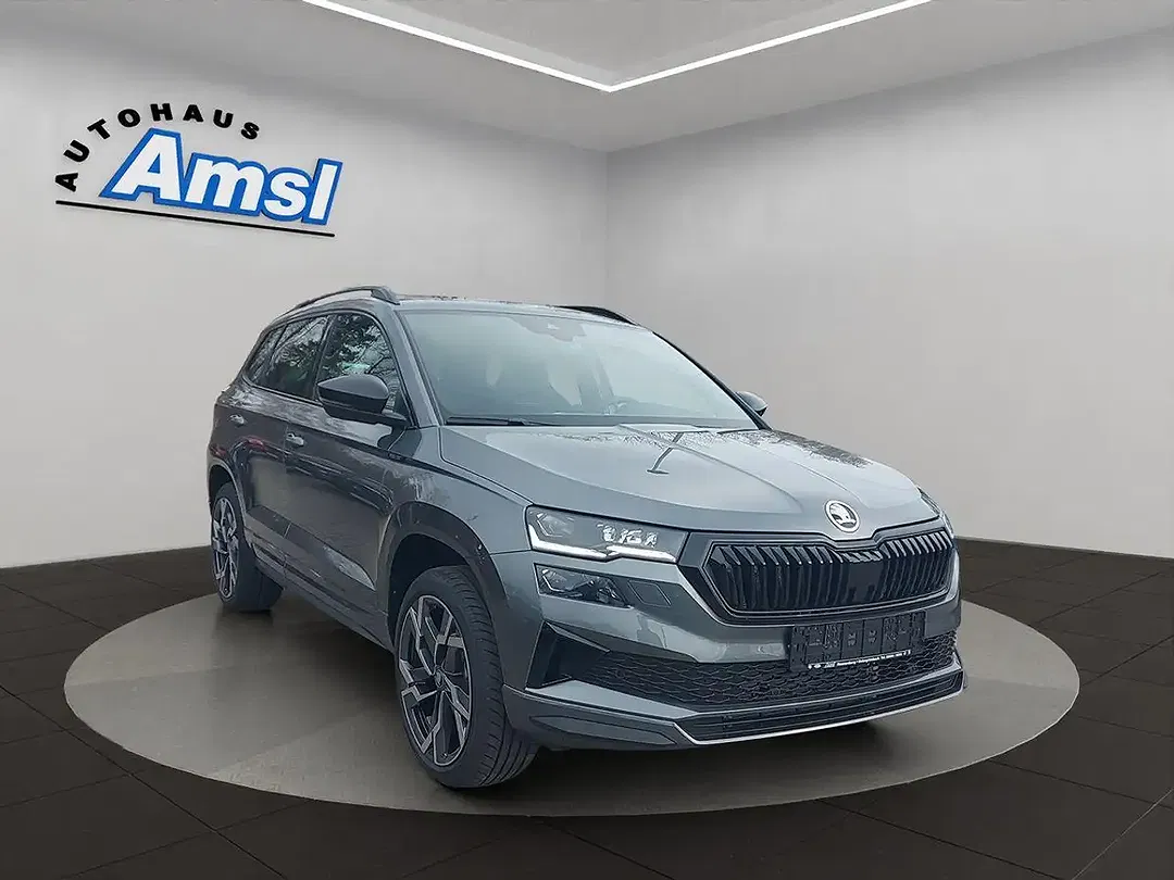 Skoda Karoq - Thumbnail 7