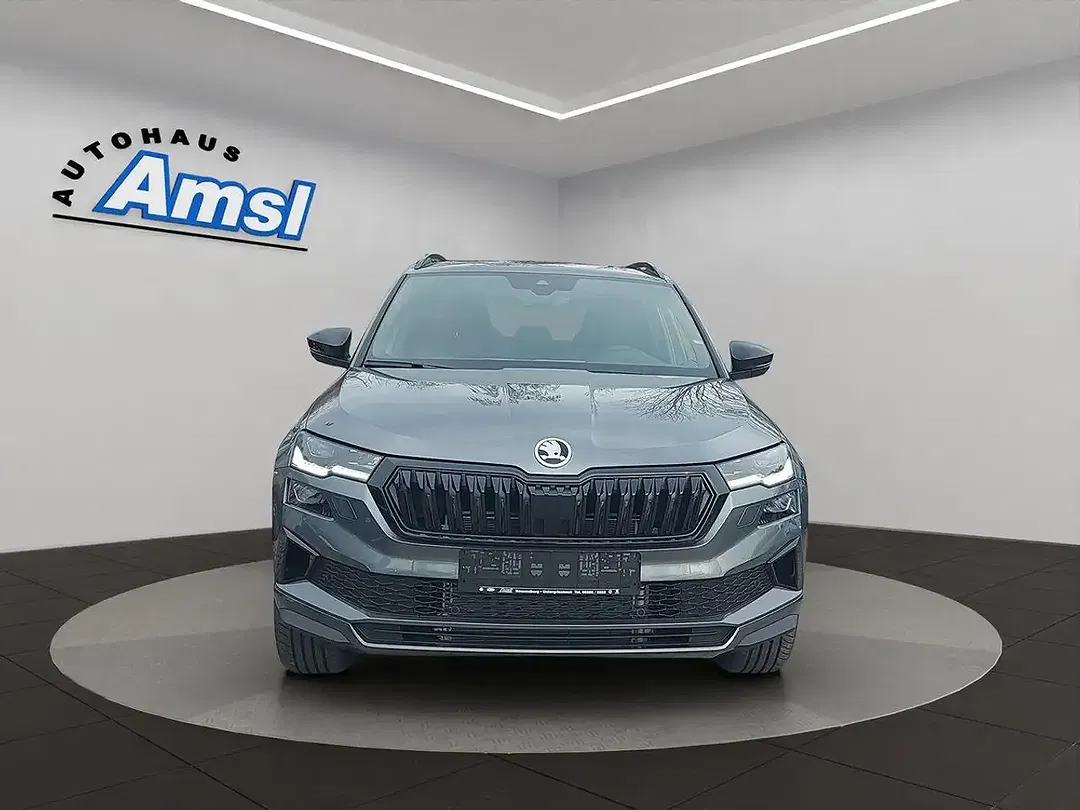 Skoda Karoq - Thumbnail 8