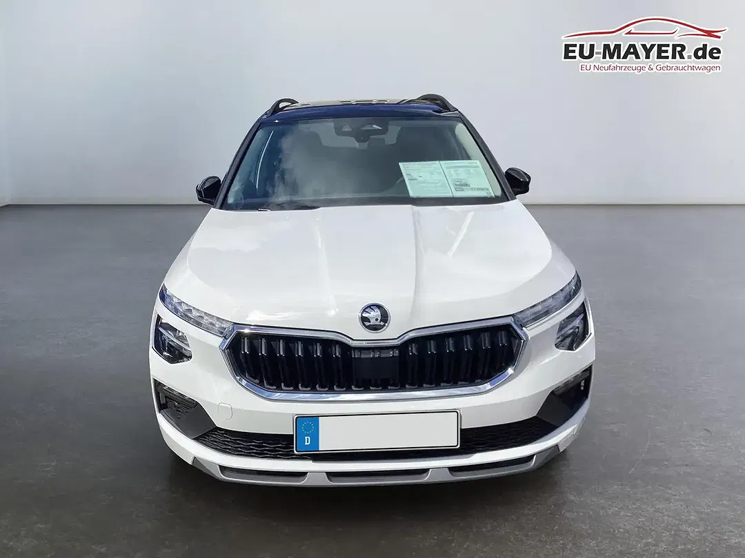 Skoda Kamiq - Thumbnail 2