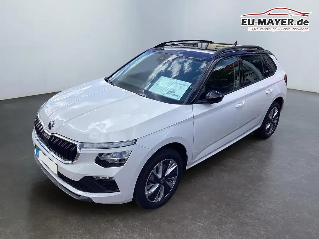 Skoda Kamiq - Thumbnail 3