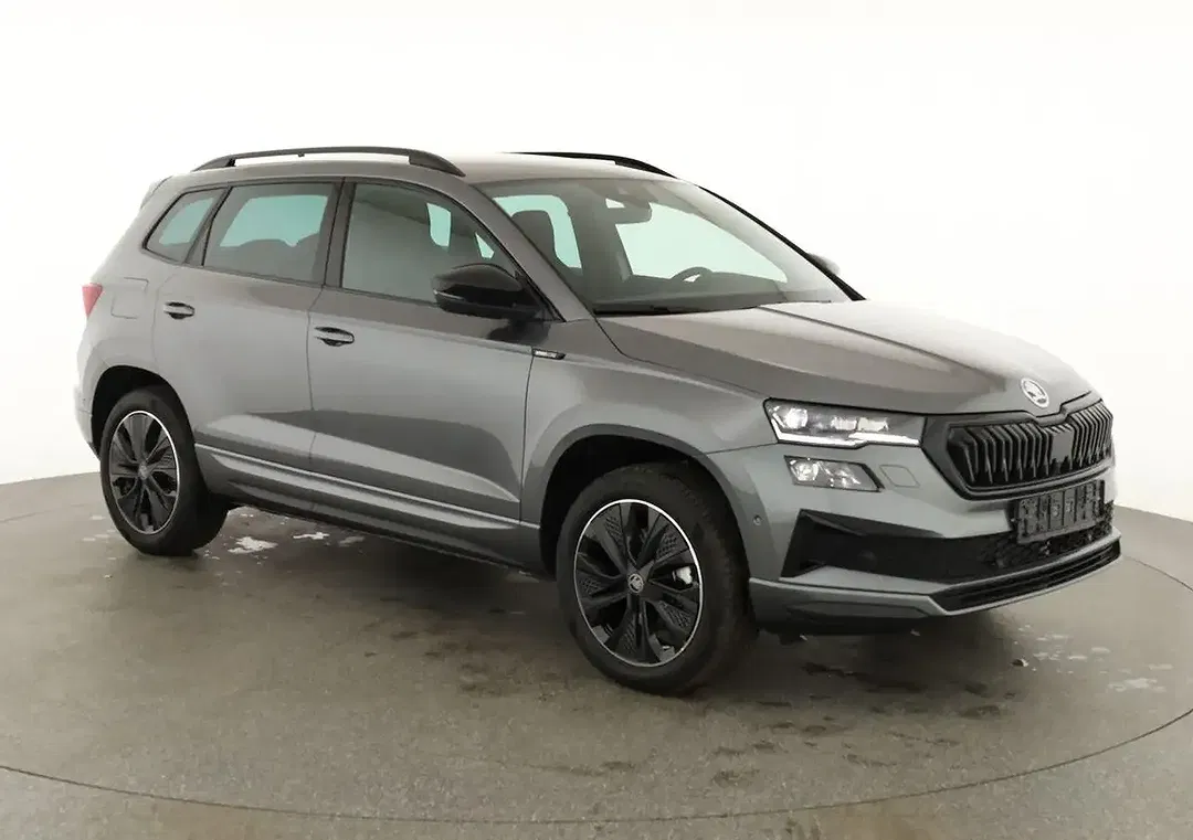 Skoda Karoq - Thumbnail 1