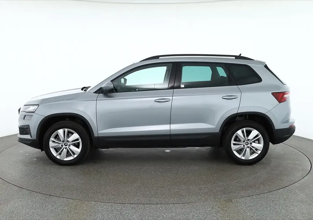 Skoda Karoq - Thumbnail 1