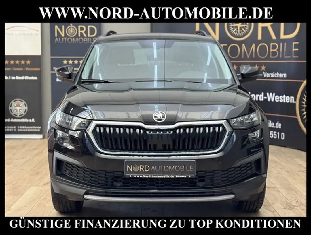 Skoda Kodiaq - Thumbnail 2