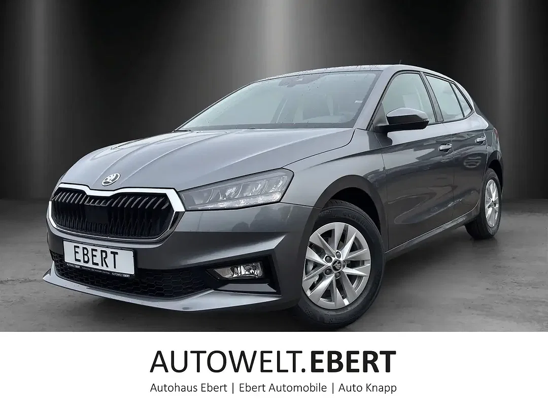 Skoda Fabia - Afbeelding 1