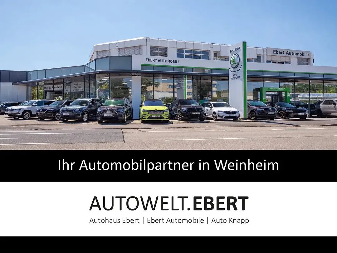 Skoda Fabia - Thumbnail 15
