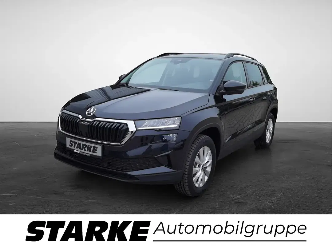 Skoda Karoq - Thumbnail 1
