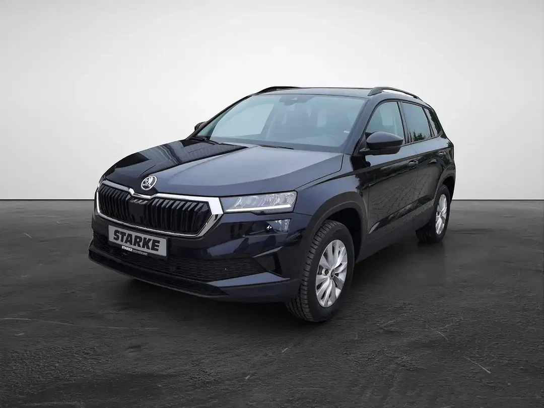 Skoda Karoq - Thumbnail 2