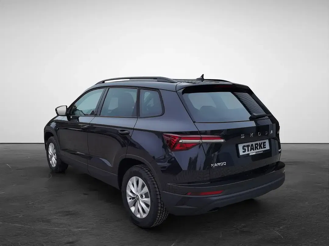 Skoda Karoq - Thumbnail 4